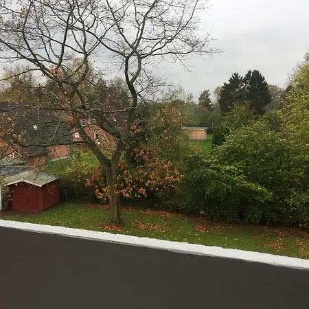 Möwe 6 Kappeln